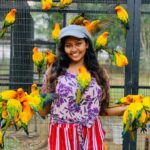 Wat is het verschil tussen groothandels in kleding zoals dergelijke hedendaagse online platforms of meer traditionele leveranciers?