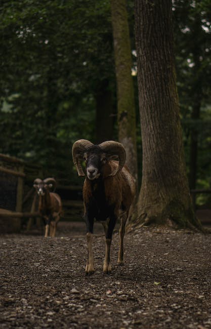 Wat zijn de meest voorkomende problemen waarmee ondernemers binnen uw branche te maken hebben?
