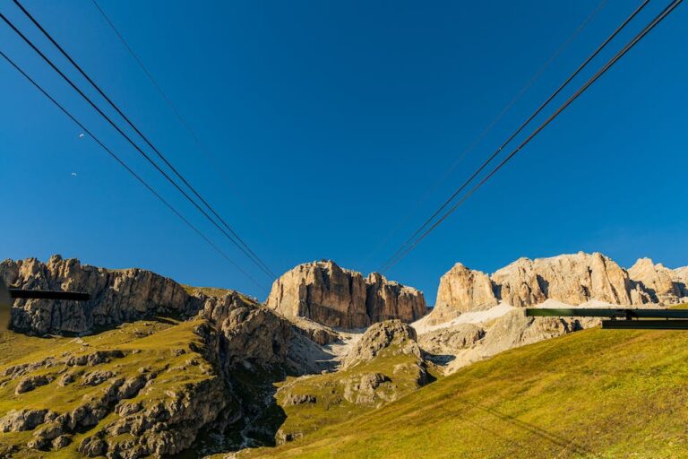Wat zijn de verschillende manieren waarop saas helpen om winstgevend te worden?