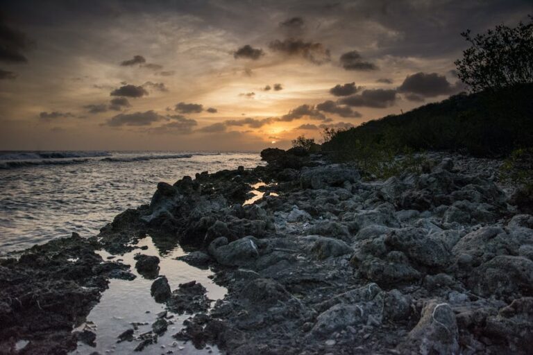 Welke aanvullende maatregelen kunnen worden getroffen om ervoor te zorgen dat uw reis naar curaçao verzekerd is?